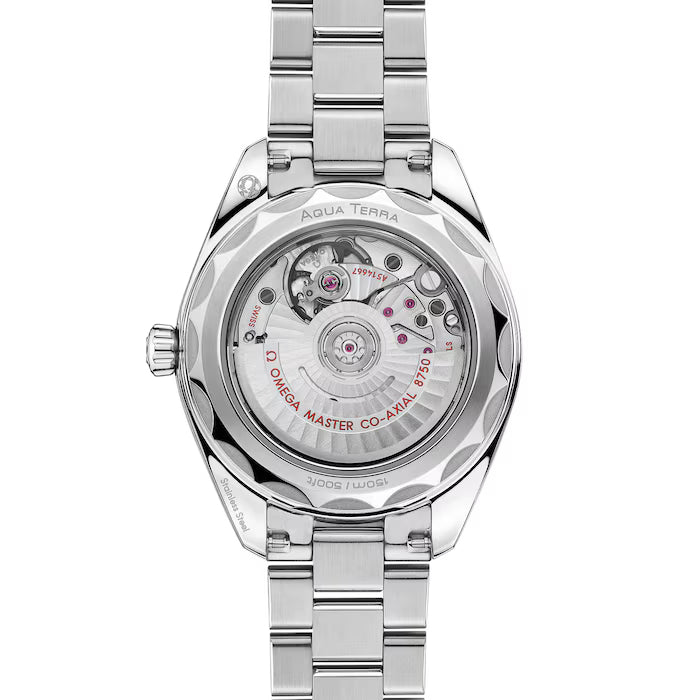 Omega Seamaster Aqua Terra Black Dial 34MM 220.10.34.20.01.001