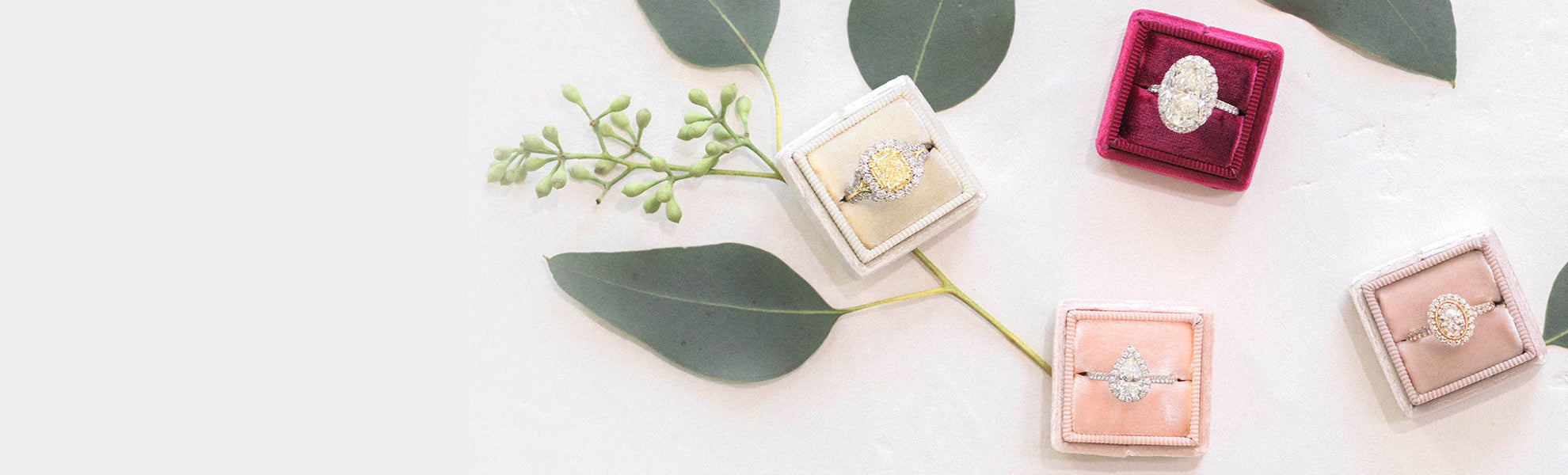 Jewelry rings in pink boxes with green leaves on a white background