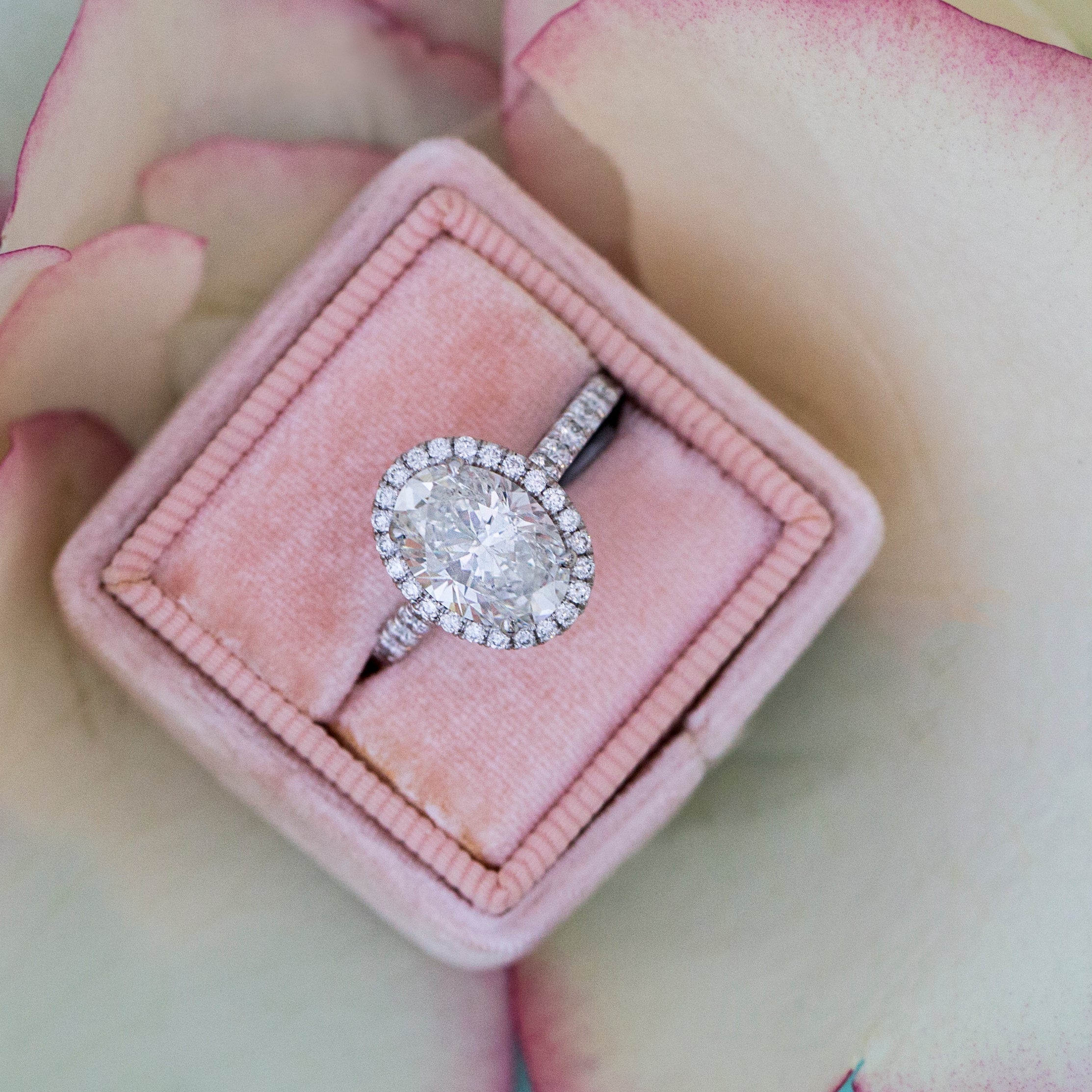 Diamond ring in a pink box on a flower petal