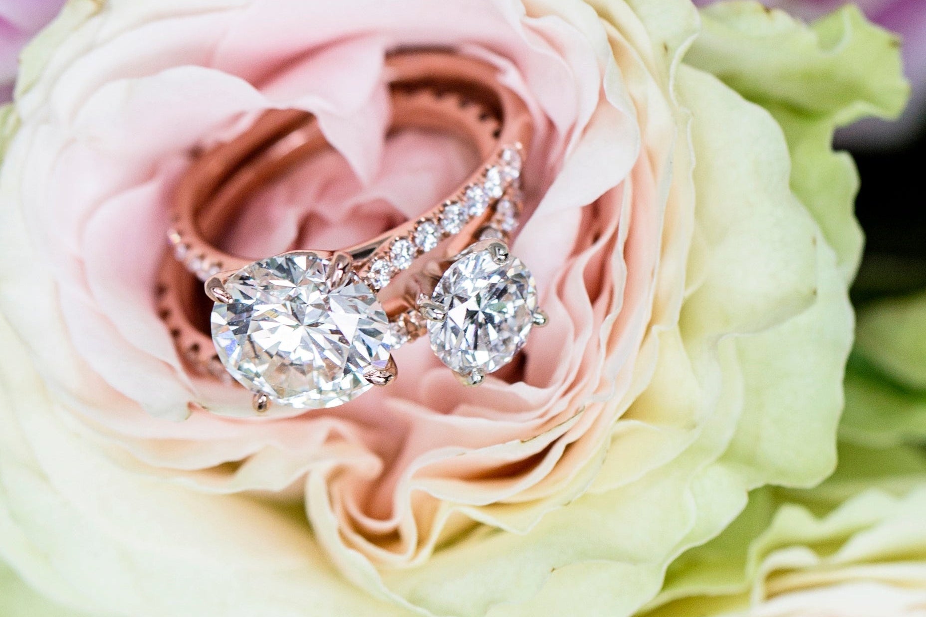 Pair of diamond earrings on a pink flower