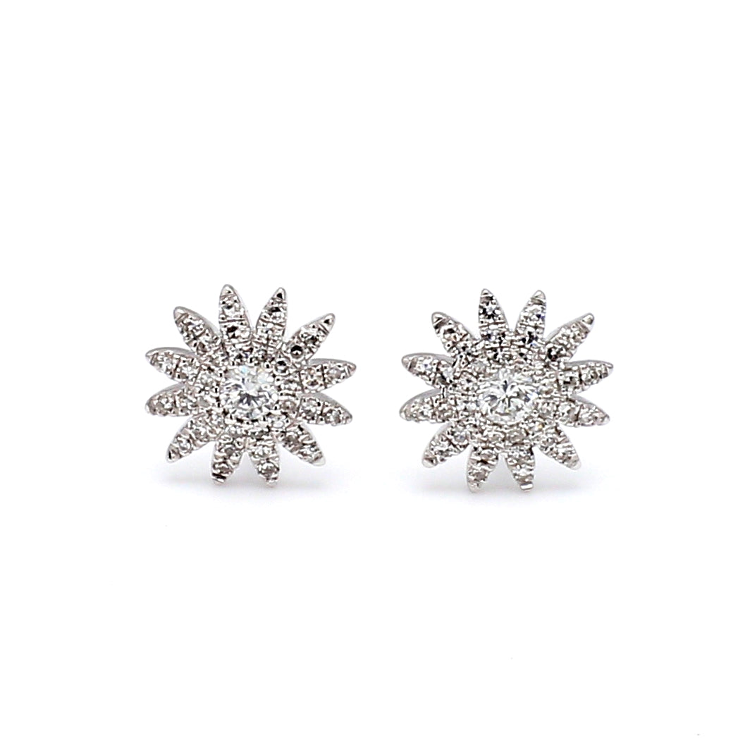 Sunburst Stud Earrings in 14K White Gold