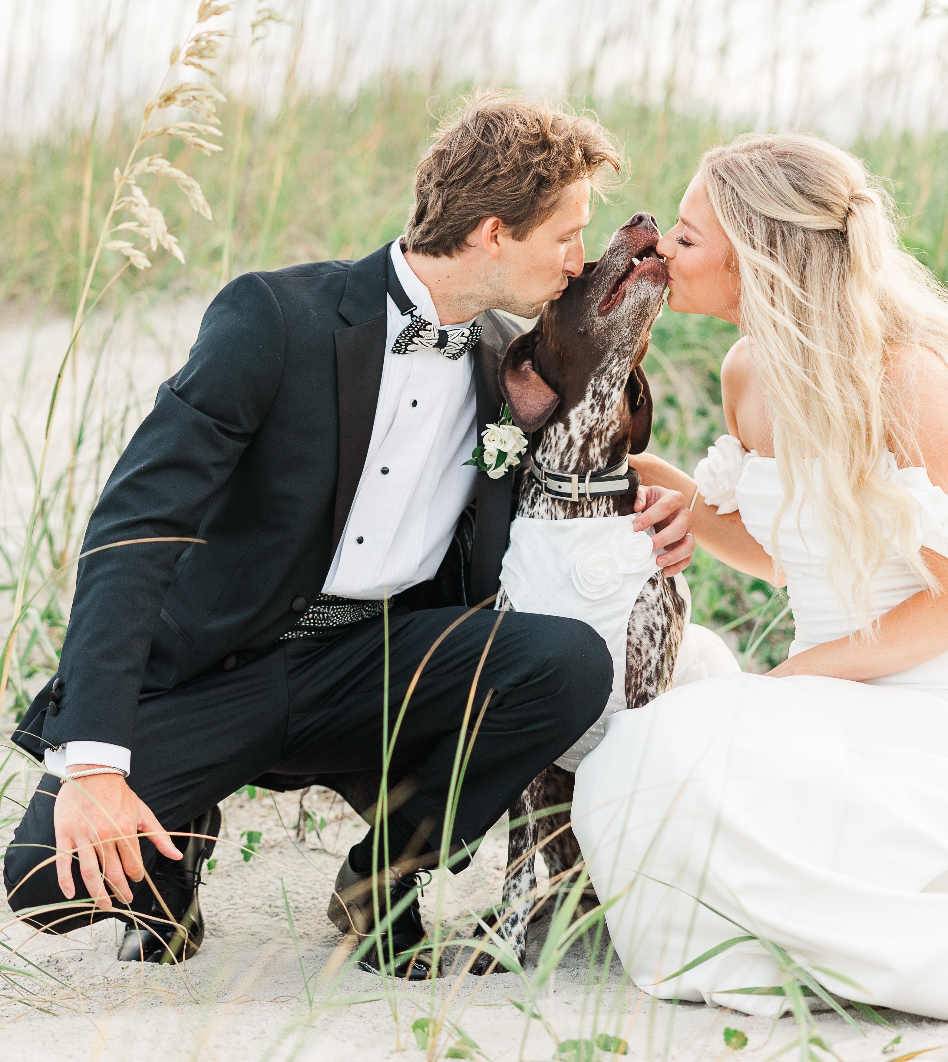 Couple in formal attire with a dog on a beach