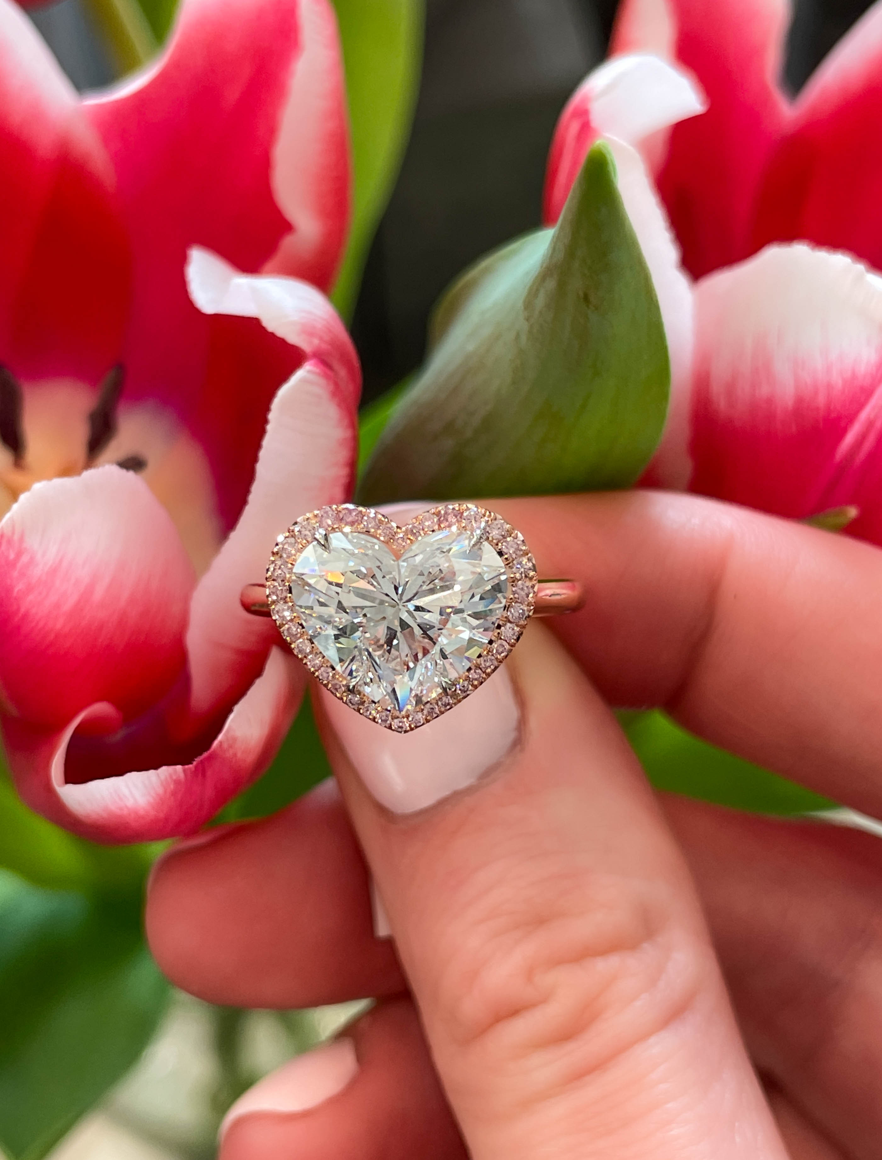 hand holding a heart-shaped diamond ring in front of red flowers with green leaves