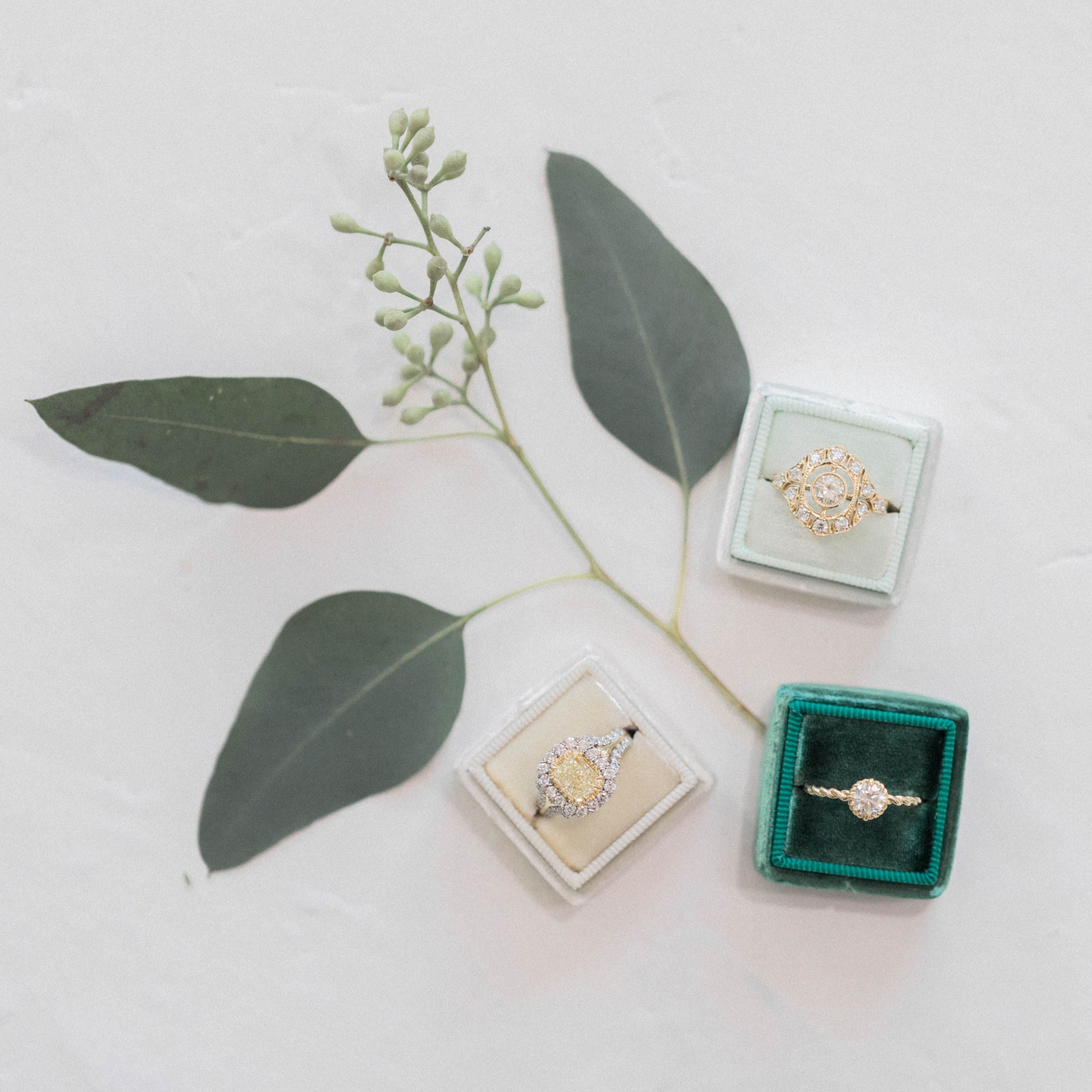 three diamond rings in green boxes with greenery on a white surface