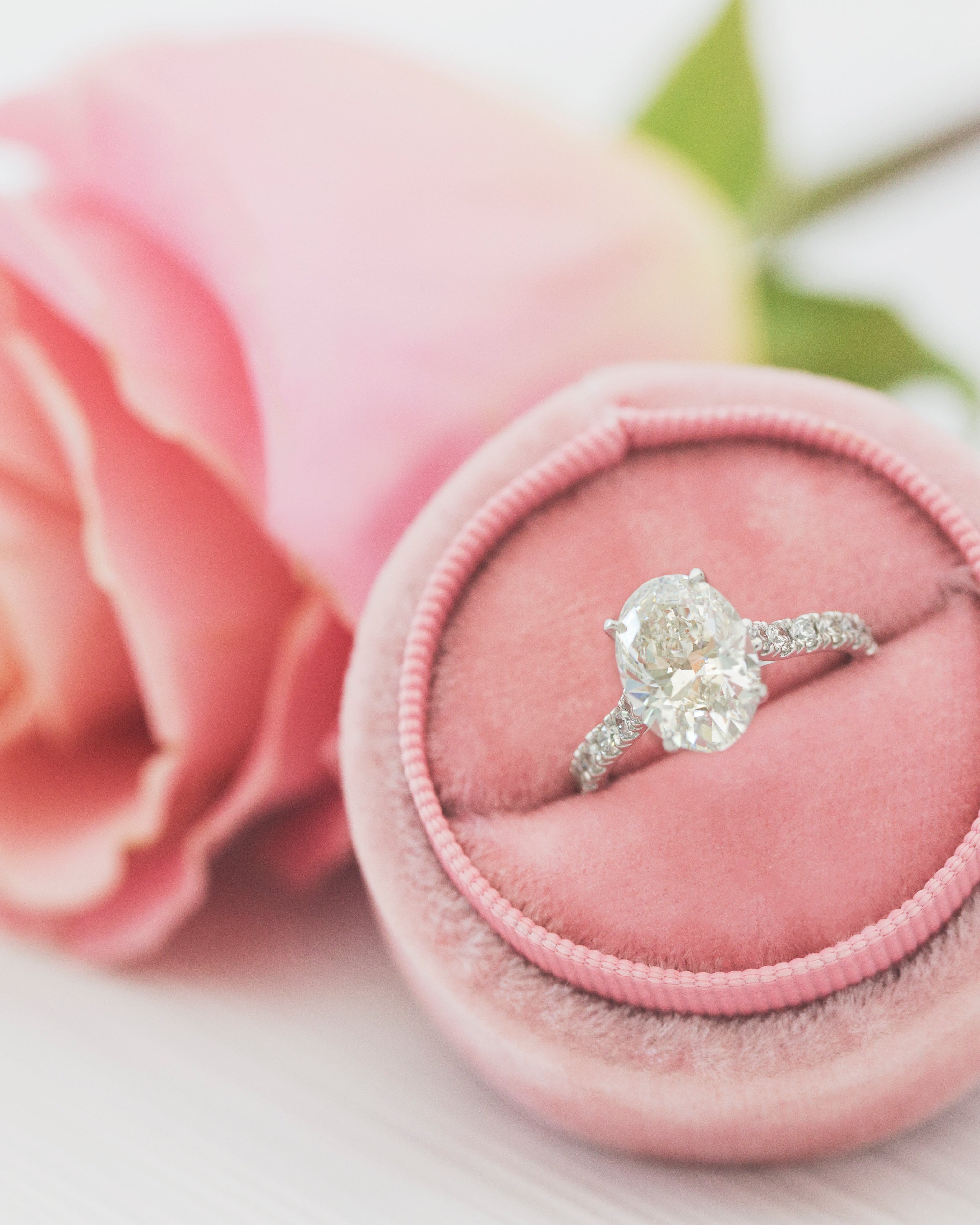 Diamond ring on a pink cushion with a blurred pink rose in the background