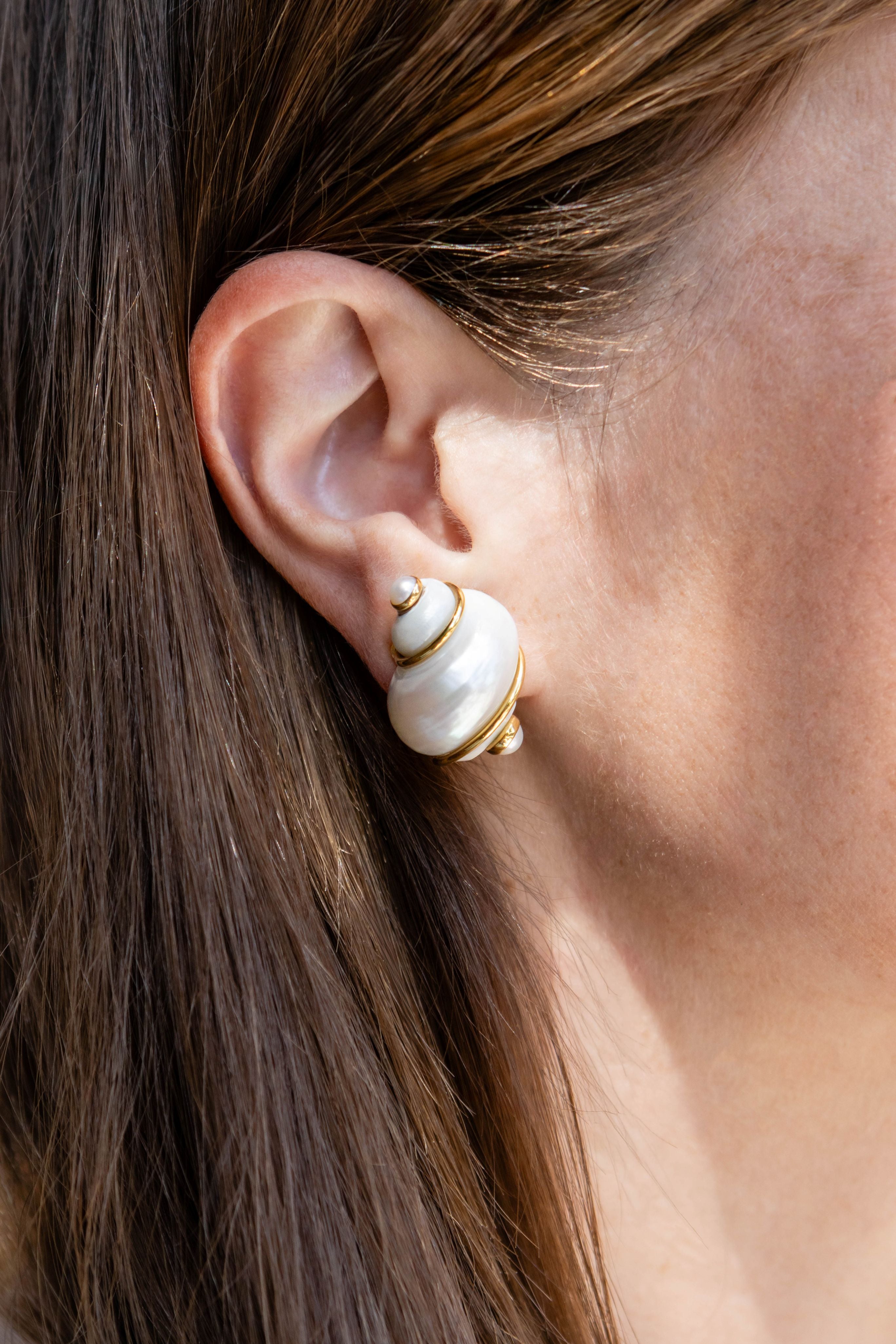 Seaman Schepps Turbo Shell Earrings in 18K Yellow Gold