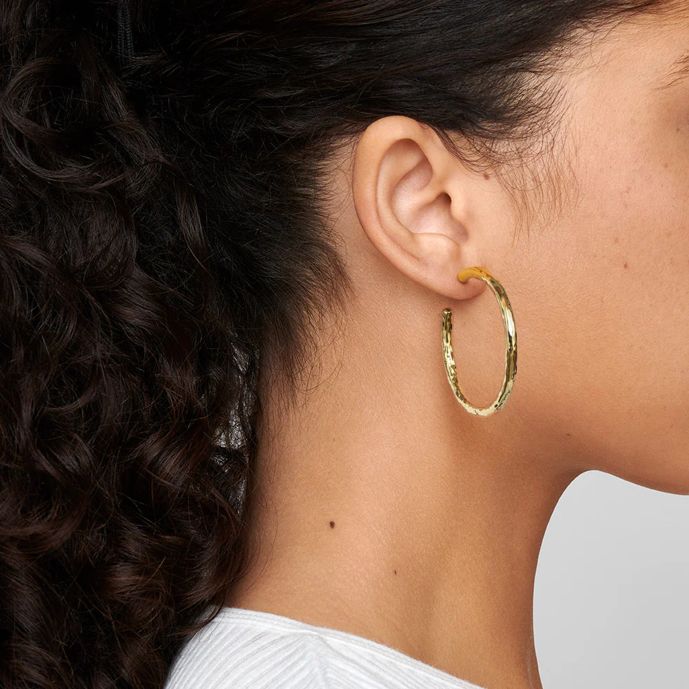 Ippolita Medium Classico Glamazon Hoop Earrings in 18K Yellow Gold