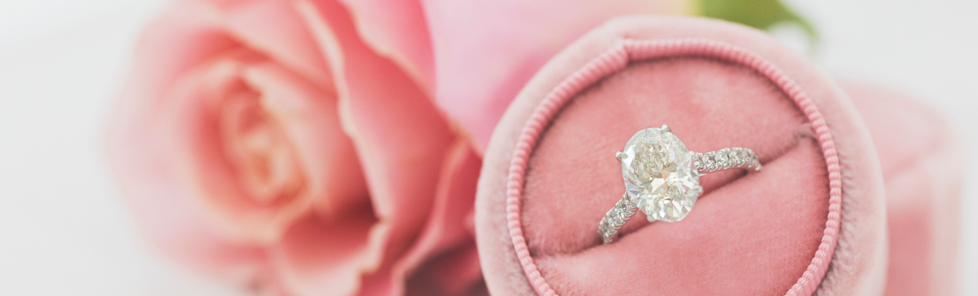 Diamond ring in a pink velvet box with pink roses in the background