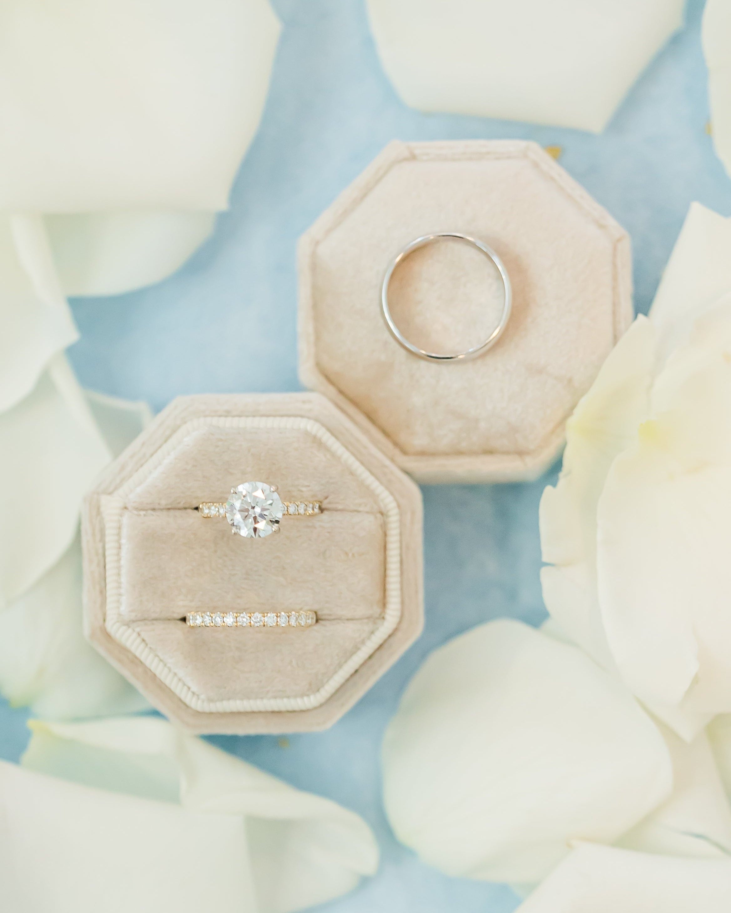 Two rings on hexagonal beige stands against a light blue background