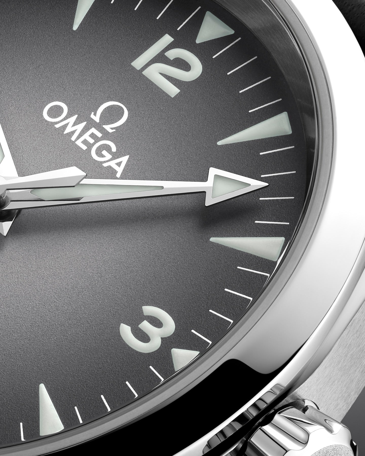 Omega Seamaster Railmaster 38MM 235.12.38.20.06.001