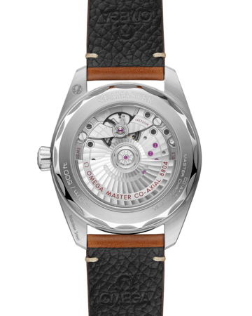 Omega Seamaster Railmaster 38MM 235.12.38.20.13.001