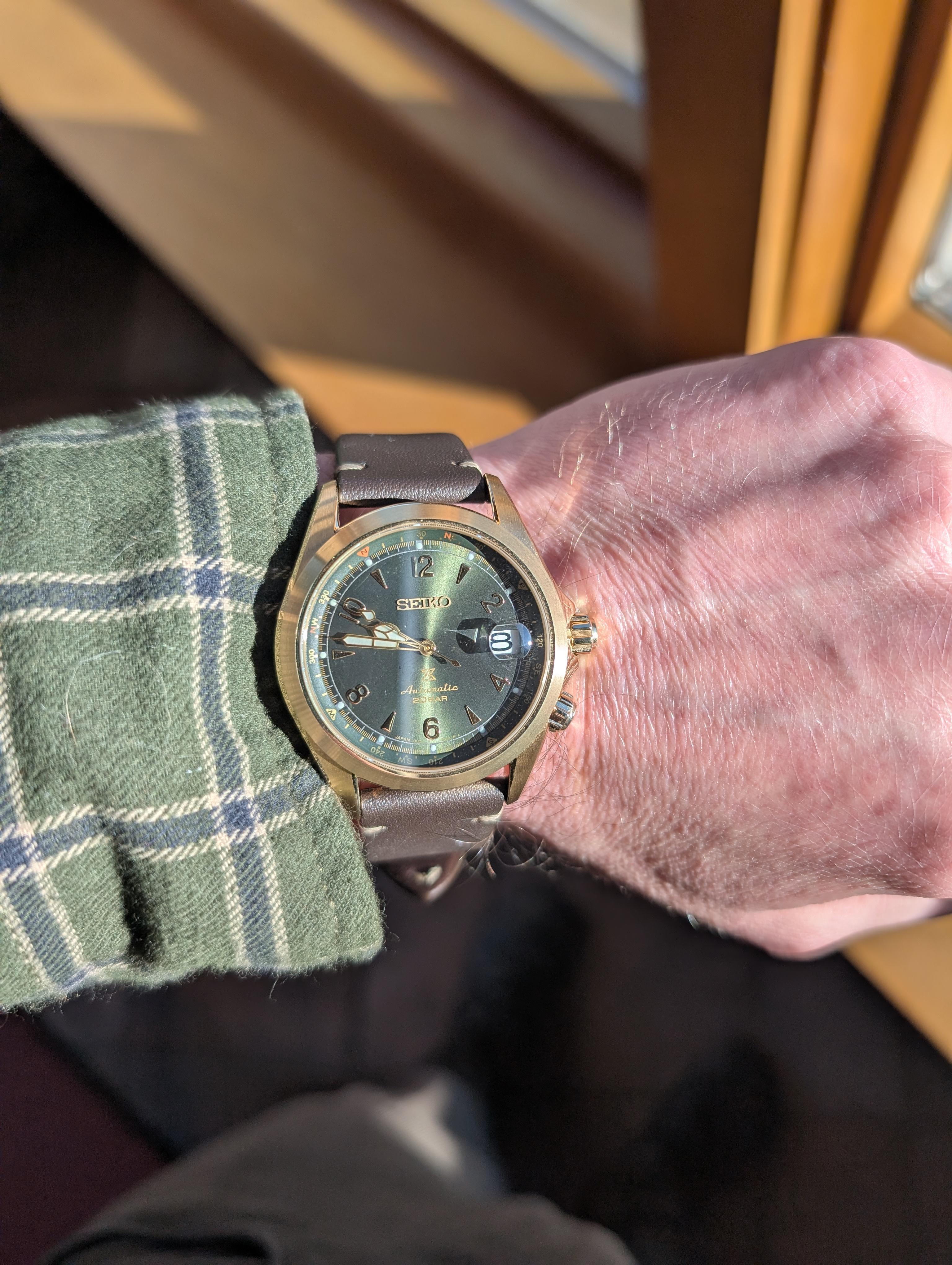 Seiko Luxe Prospex Green Dial Watch SPB210